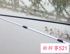 初学钓鱼如何选择鱼竿