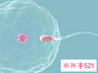 试管婴儿的危害