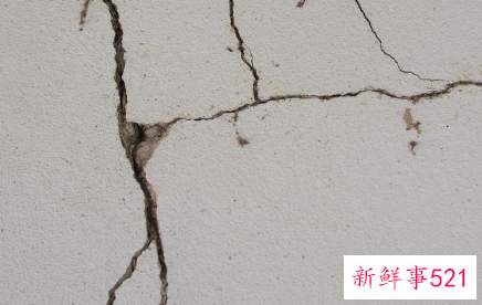 补墙膏十大名牌