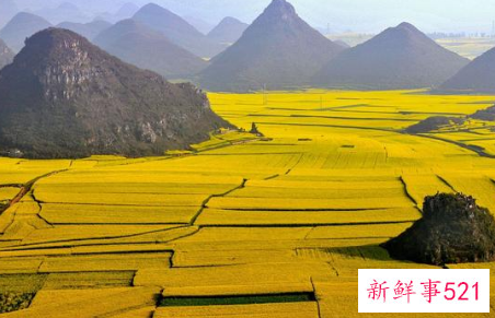 国内最有特色的油菜花地