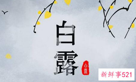 白露意味着什么意思