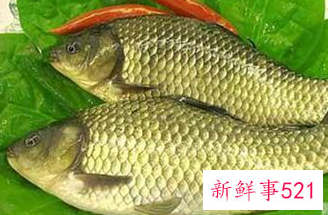 中国淡水鱼营养大全排行榜