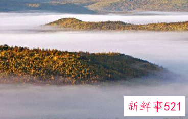 相亲女生主动就输了是否是真的