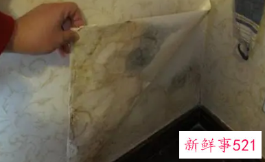 墙布贴了一年半有些地方发霉怎么办