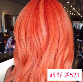 头发漂断了怎么办