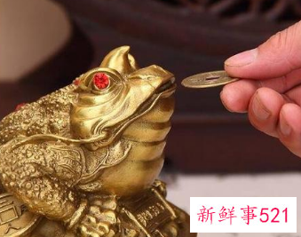 居家金蟾摆放位置