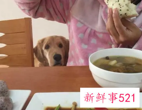 梦见死去的人给我东西吃好不好