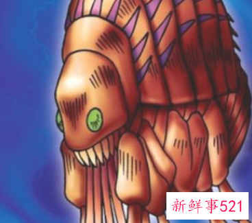 房间有跳蚤怎么除干净