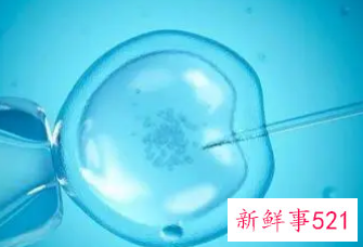 试管婴儿的危害