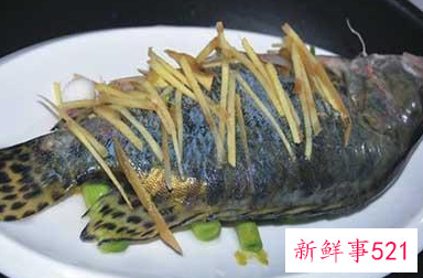 中国淡水鱼营养大全排行榜