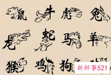 每个属相的招财花管用吗