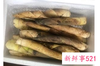 春笋怎么做才好吃简单又好吃