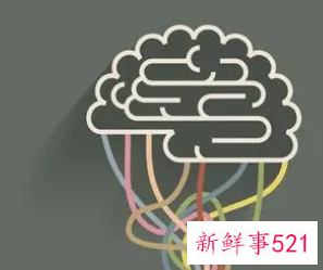 一般认知能力包括