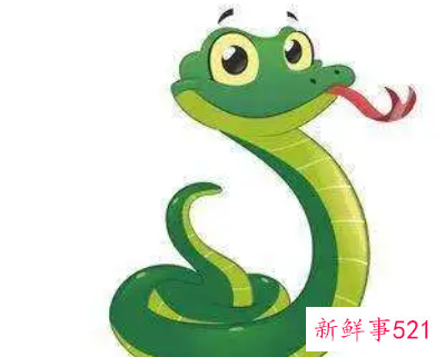 梦见蛇在衣服里是什么意思