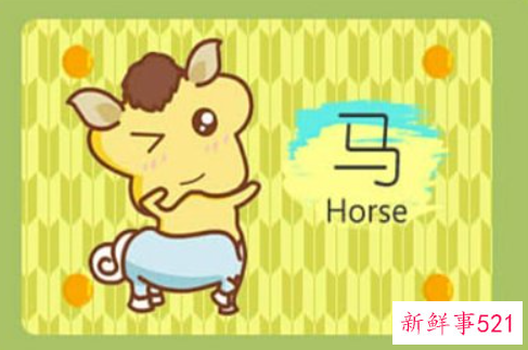 属马的禁忌颜色