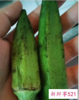 秋葵黑斑能吃吗