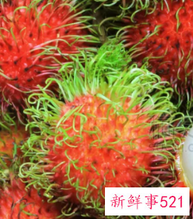 41种不常见的水果(图)