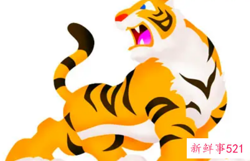 属虎女从事什么行业好