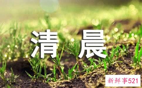 清晨护肤几步全攻略呵护出完美肌肤