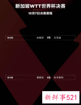 新加坡WTT世界杯决赛名单公布