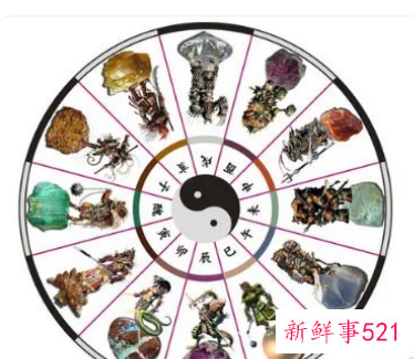 哪个属相五行属水