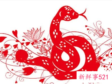 蛇10月出生是什么命