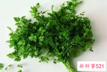 吃香菜能为肾脏排毒