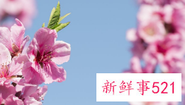 桃花的养殖方法和注意事项