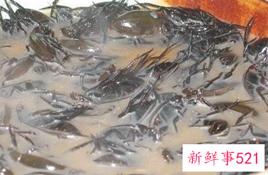 世界上最不营养的东西