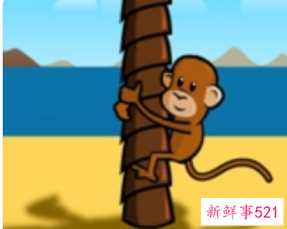 梦见小猴爬树是什么意思