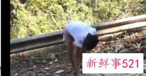 网络主播吃播象群吃剩菠萝