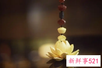 荷花诗句禅意名句