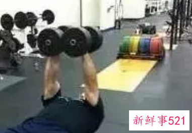 一般卧推哑铃重量