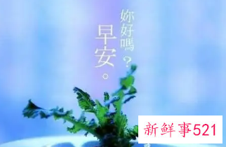 有深度的早安问候语