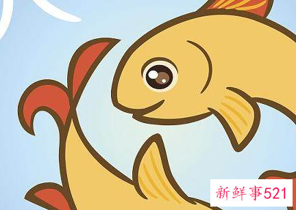 双鱼座是一个什么样的人详细一下