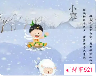 小寒的知识导图