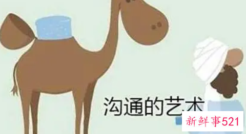 有哪些十大沟通法