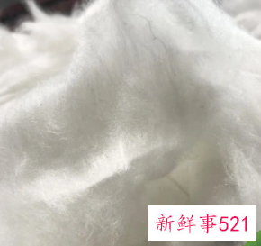 蚕丝棉是什么意思