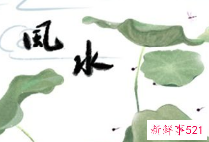 木命属鸡的做什么生意最旺