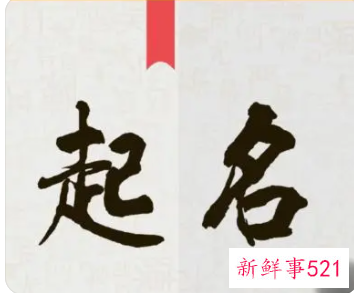 名字的来历和含义怎么写三年级