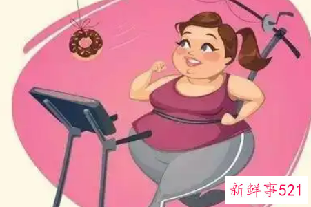 夏天的减肥计划