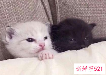 幽默放假怎么发朋友圈