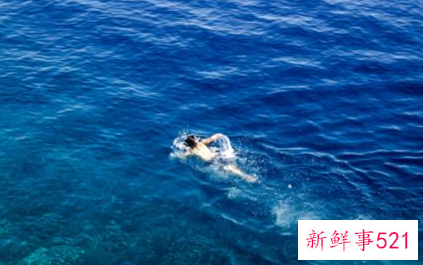 梦见自己在游泳有什么征兆
