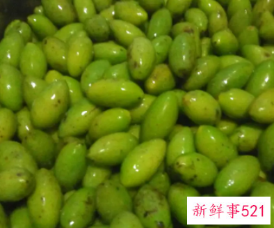 青橄榄怎么泡酒