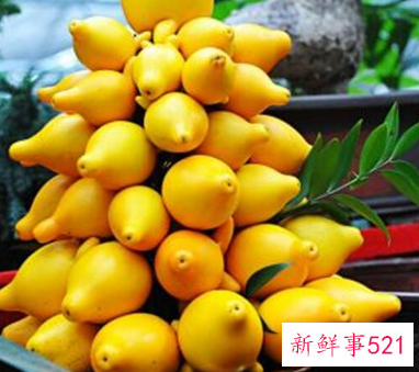 41种不常见的水果(图)