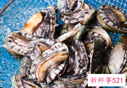 鲍鱼是不是软体动物