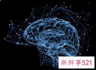 九大不良习惯使大脑迟钝