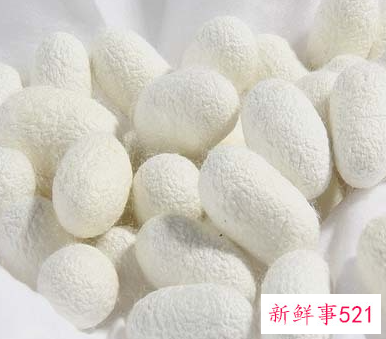 老年夏装女桑蚕丝上衣