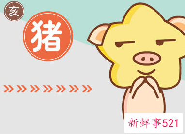 猪男鼠女能过长久吗