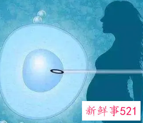 试管婴儿的危害